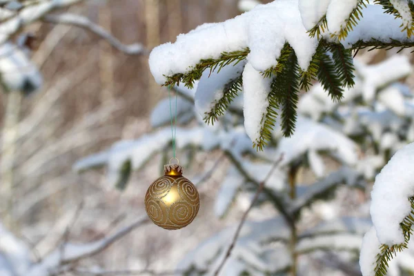 雪に覆われた木の枝の黄金のボール — ストック写真