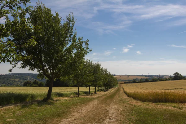 Ländliche Szenerie Mit Schönen Feldern Und Bäumen — Stockfoto