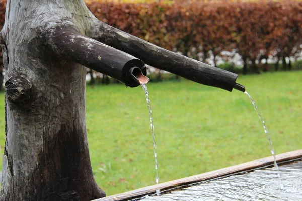 Brunnen Wald Brunnen Mit Trinkwasser Wald — Stockfoto