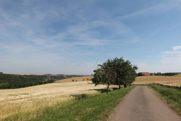 Straße Durch Ländliche Landschaft — Stockfoto