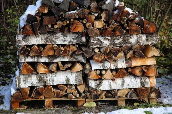 Woodpile Borda Floresta — Fotografia de Stock