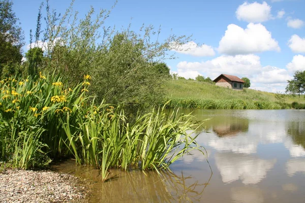 Litet Hus Vid Sjön Byn — Stockfoto