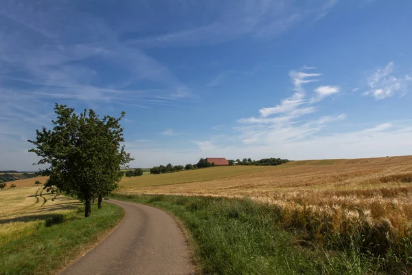 Piękny Spokojny Krajobraz Wiejski — Zdjęcie stockowe