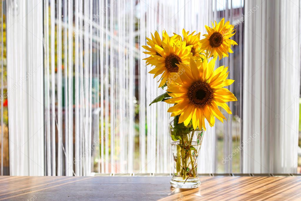 Bouquet of beautiful sunflowers stands in front of the window