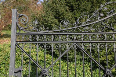 Arka planda orman veya Park ile metal çit detayları
