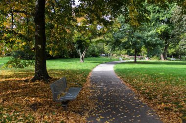 Sonbahar güzel parkta Tezgah