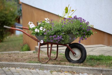 İnşaat el arabası güzel çiçek standları içinde belgili tanımlık bahçe dikti.