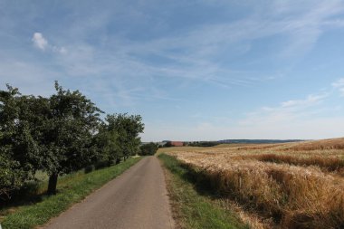 Güzel alan ve ağaçlar ile kırsal sahne 