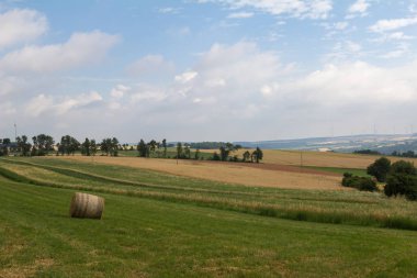 Güzel alan ve ağaçlar ile kırsal sahne 