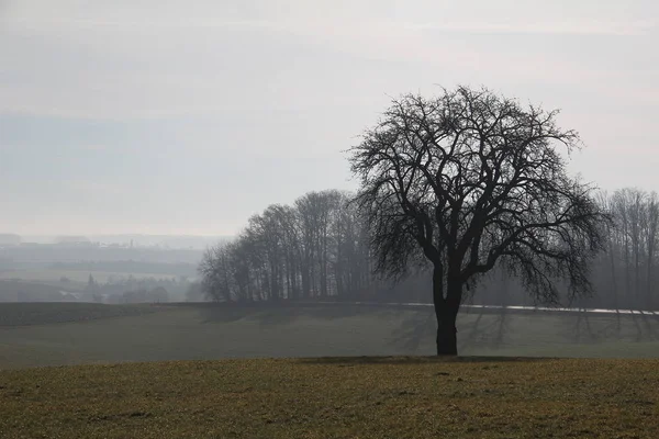 Bellissimo Paesaggio Rurale Tranquillo — Foto Stock