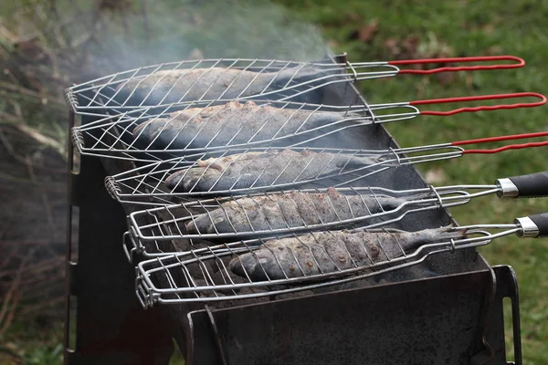 Ryby Grillu Widok Bliska — Zdjęcie stockowe