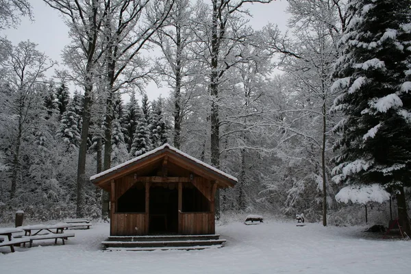 Ancienne Maison Bois Dans Forêt Hiver — Photo