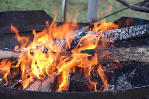 Fuego Para Barbacoa —  Fotos de Stock