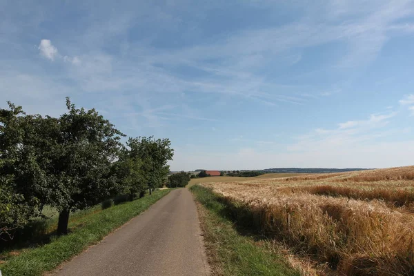 Ländliche Szenerie Mit Schönen Feldern Und Bäumen — Stockfoto