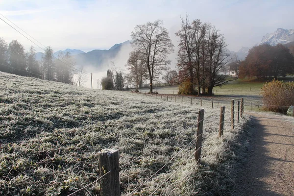Hoarfrost covering ground in rural landscape