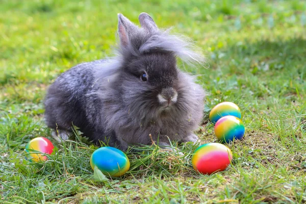 Funny little bunnies among Easter eggs on the grass