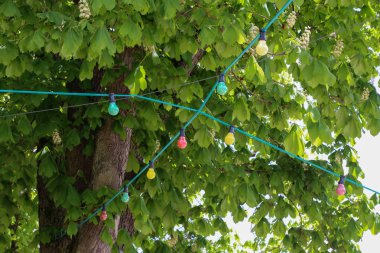 City Park'taki dans pistinde renkli ışık çelenkleri