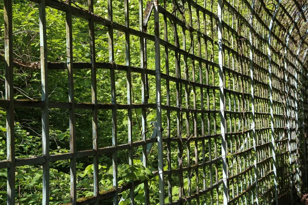 Дерев'яний паркан у вигляді сітки — стокове фото