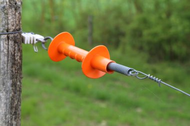 Elektrikli çit kapısı yeşil otlağı korur.