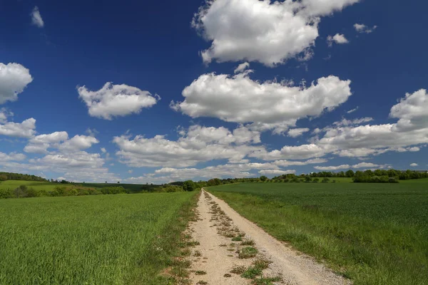 Vårlandskap. Fält väg bland ängar och åkrar — Stockfoto