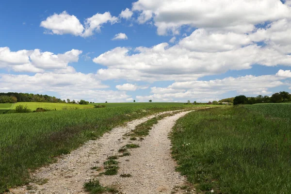 Vårlandskap. Fält väg bland ängar och åkrar — Stockfoto