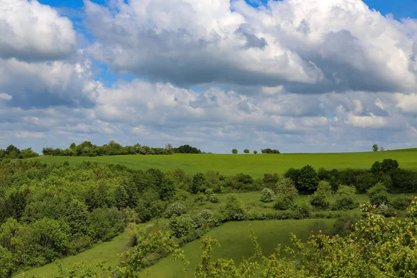 Paesaggio primaverile. Strada di campo tra prati e campi — Foto Stock