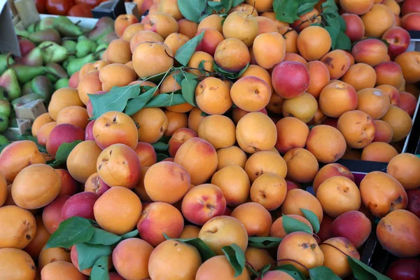 Verschiedene Früchte zum Verkauf auf einem Markt in Kroatien — Stockfoto