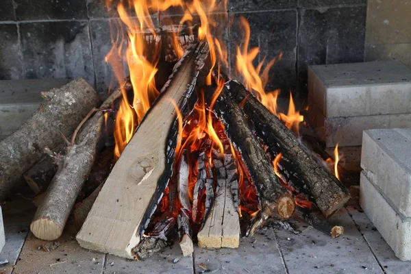 Fuego, llama y leña caliente para asar —  Fotos de Stock