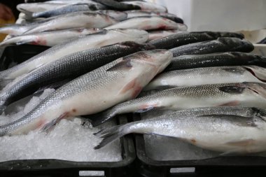 Hırvatistan 'da bir balık pazarında farklı deniz balıkları