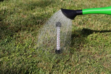 Sıcak yaz. Otların içinde termometre su döktü.