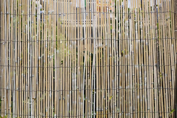 Fence of bamboo sticks fastened with wire