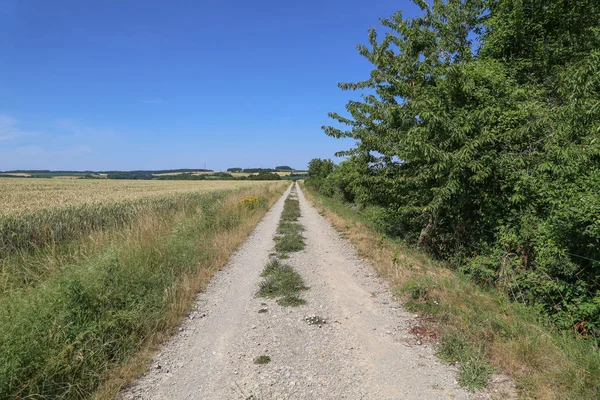 Paisaje con una carretera que se adentra en la distancia —  Fotos de Stock