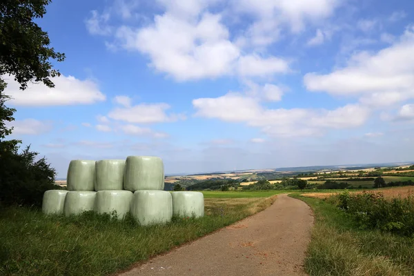 Champ de campagne avec balle de foin enveloppée dans du plastique — Photo