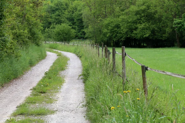 Elstängsel runt bete med bondgårdsdjur — Stockfoto