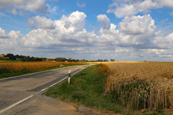 Krajobraz wiejski z żółtymi polami dojrzałej pszenicy — Zdjęcie stockowe