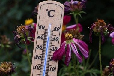 Hot summer - a thermometer shows high temperatures clipart