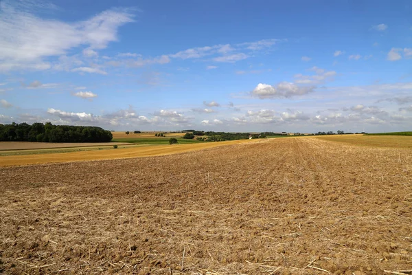 Krajobraz wiejski z oczyszczonym polem pszenicy — Zdjęcie stockowe