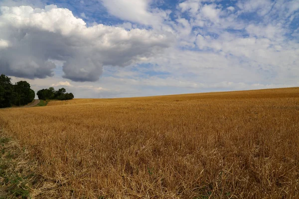 Rural landscape. Rural landscape with cleared wheat fields. — Stock Photo, Image