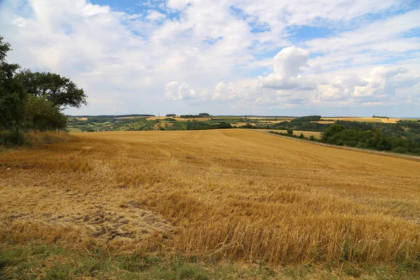 Сільський пейзаж. Сільський пейзаж з очищеними пшеничними полями . — стокове фото