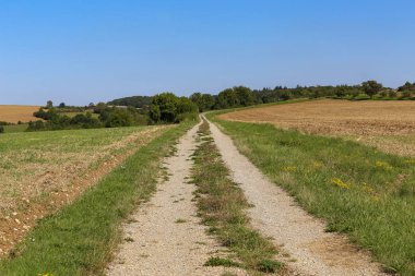 Pahalı ve temizlenmiş alanları ile Yaz Manzara