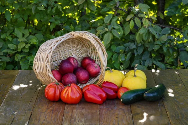 Outono ainda vida com maçãs, tomates, pimentas, tsuhini ... — Fotografia de Stock