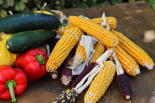 Nature morte d'automne avec des légumes frais du jardin — Photo