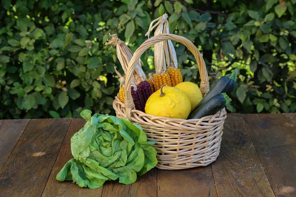 Bodegón de otoño con verduras frescas del jardín —  Fotos de Stock