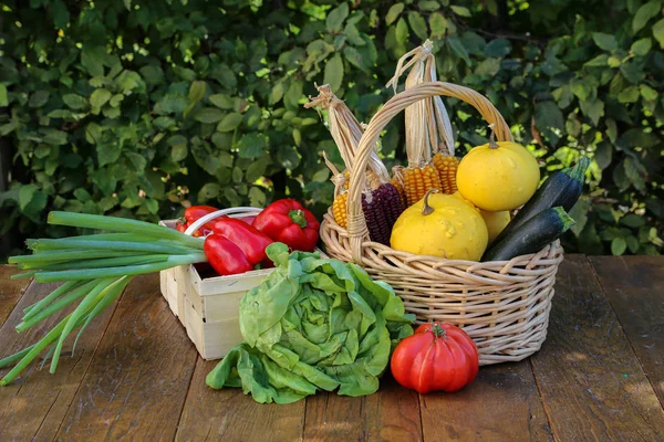 Nature morte d'automne avec des légumes frais du jardin — Photo