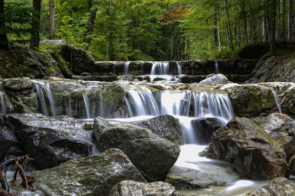 Gebirgsfluss fließt durch den grünen Wald — Stockfoto