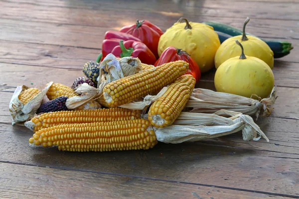 Still life. Autumn still life with golden corn cob — Stock Photo, Image