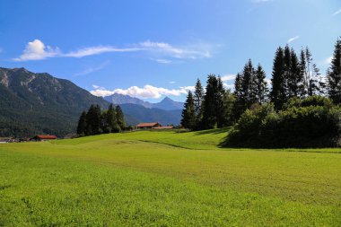 Alpler'deki yeşil çayırlarda dağ kulübeleri