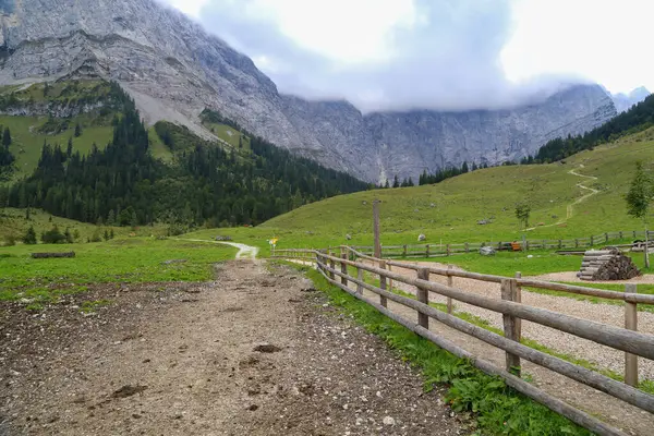 Pâturages et prairies alpines dans les Alpes autrichiennes — Photo