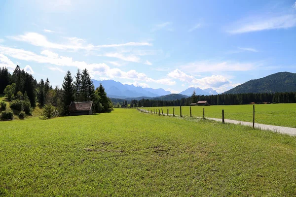 Avusturya Alplerinde dağ çayırları ve otlaklar