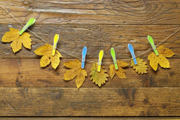 Yellow autumn leaves hanging on plastic clothespins — 스톡 사진